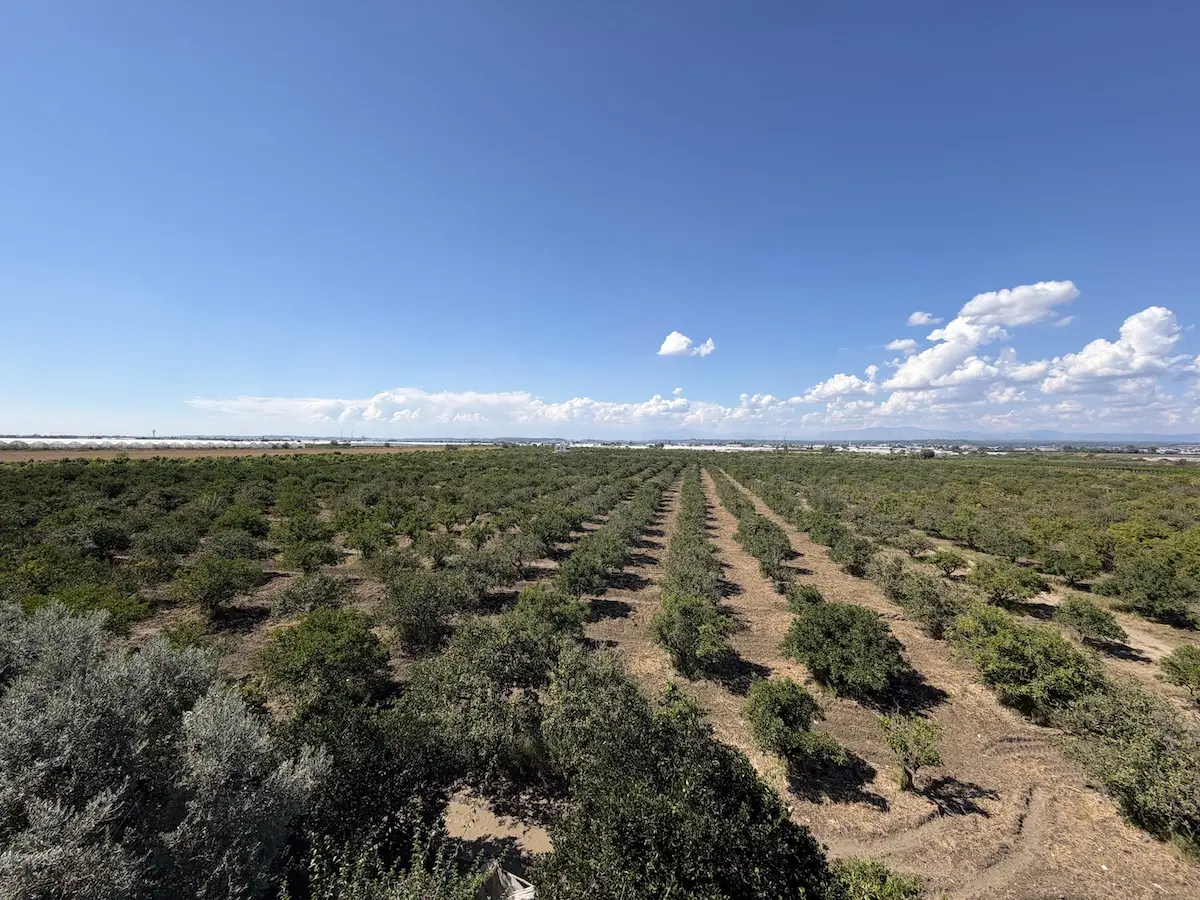 Land for sale in Serik